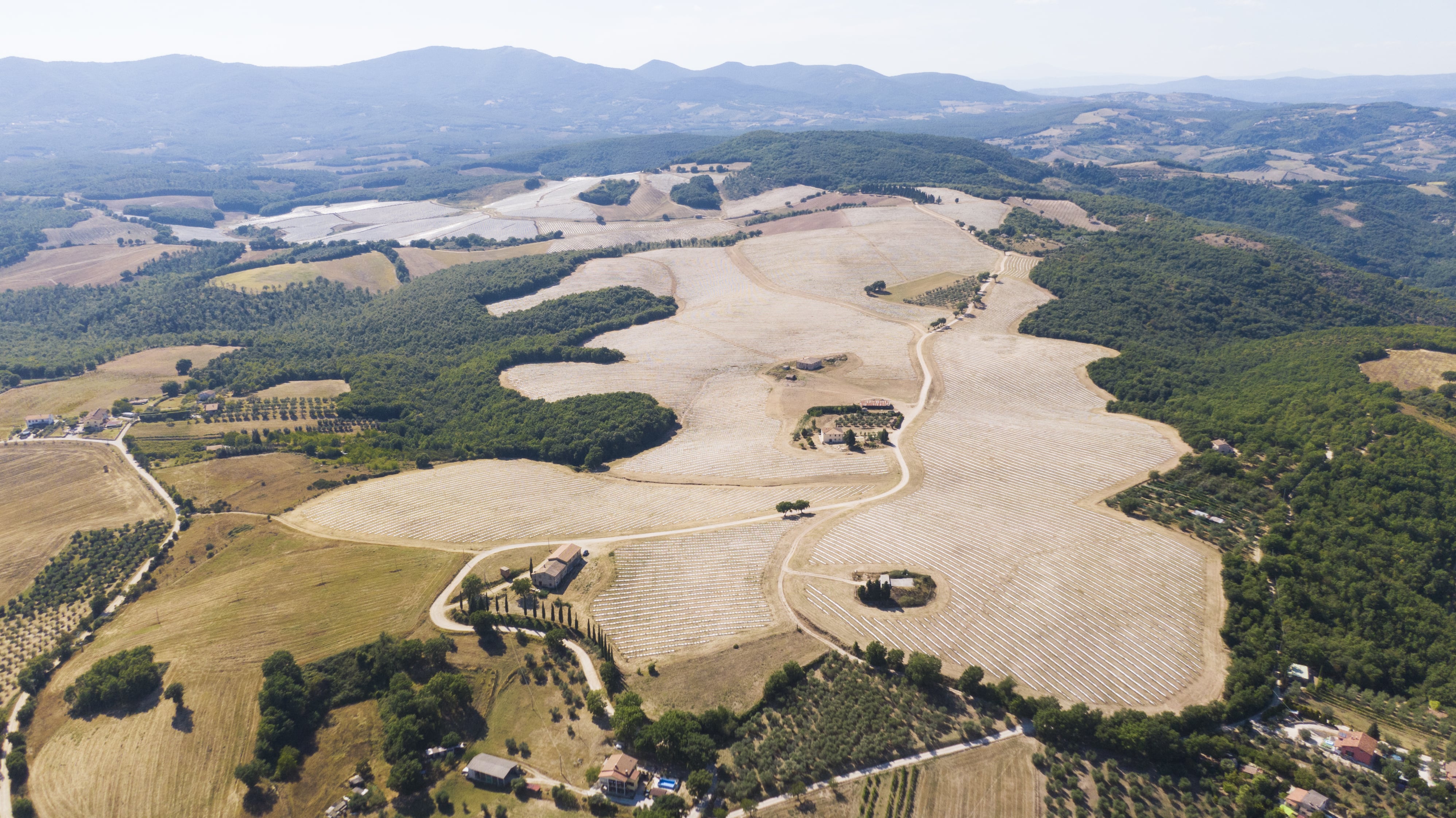 500,000 Olive Trees & 20 km of Flowers