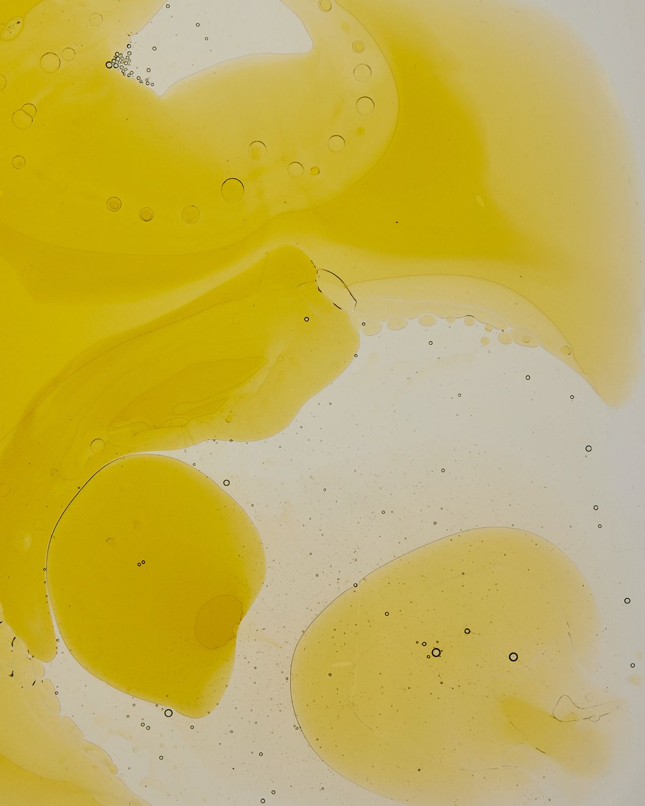 Squalane derived from Olive Oil